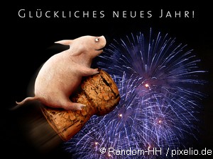 Frohes neues Jahr 2012!