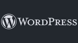 Wordpress Buch Layout Einsteiger